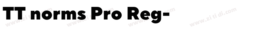 TT norms Pro Reg字体转换